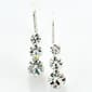 Rosa Rhinestones Three-Stone Fishwire Earrings - image 1
