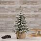 Northlight Seasonal 15in. Potted Mini Pine Christmas Tree - image 2