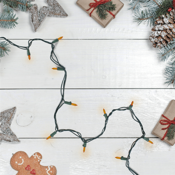 Northlight 100ct. LED Mini Christmas String Lights