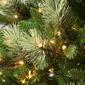 National Tree 9ft Charleston Pine Slim Pre-Lit Christmas Tree - image 3