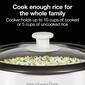Proctor-Silex 10-Cup Rice Cooker & Steamer - image 2