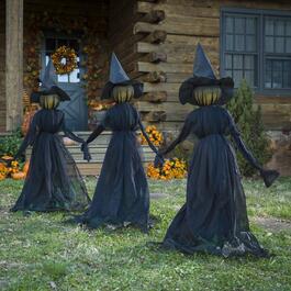 Evergreen Lighted Halloween Witch Stakes - Set of 3