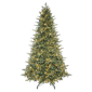 Puleo International 9ft. Pre-Lit Linden Fir Christmas Tree - image 1