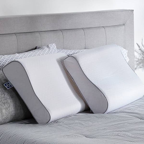 Sealy&#174; Essentials&#8482; Contour Curve Memory Foam Pillow