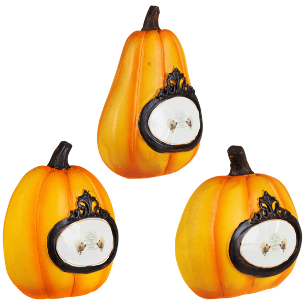 Northlight 3pc Pumpkins "Thanks Today Tomorrow Always" Fall Décor