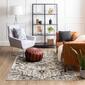 Mohawk Home Pyramus Grey Large Area Rug - image 2