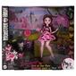 Monster High Draculaura Picnic - image 1