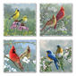 4pk. Beautiful Song Birds Square Set - image 1