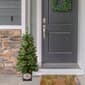 Puleo International 2pc. Cashmere Pre-Lit Potted Christmas Trees - image 3