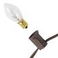 Northlight Seasonal 25ft. Clear C7 Christmas Lights - Brown Wire - image 4