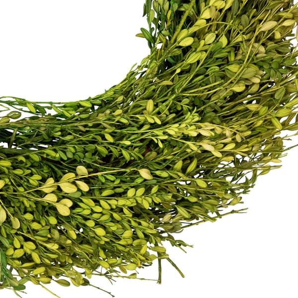 Northlight Seasonal 20in. Artificial Green Foliage Spring Wreath
