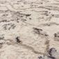 Mohawk Home Sigurd Cream Large Area Rug - image 6