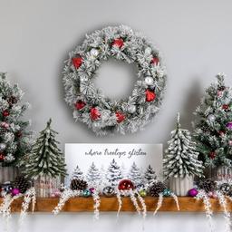 Northlight Seasonal 24in. Pre-Lit Snowy Pine Christmas Wreath
