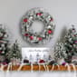 Northlight Seasonal 24in. Pre-Lit Snowy Pine Christmas Wreath - image 2
