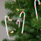 Northlight Seasonal 12ct. Multicolor Twist Candy Cane Ornaments - image 3