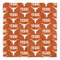 Northwest Texas Longhorns Bed in a Bag - image 2