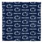 Northwest Penn State Nittany Lions Bed in a Bag - image 2