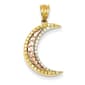 Gold Classics(tm) Tri-Color Diamond Cut Moon Pendant - image 1
