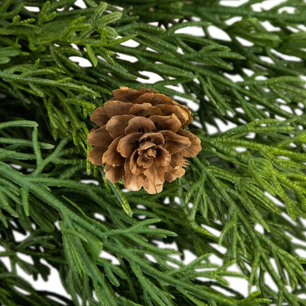 Northlight Seasonal 24in. Cedar Artificial Christmas Wreath