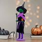 Northlight Seasonal 14in. Green Witch Wooden Halloween Nutcracker - image 5