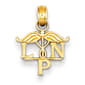 Gold Classics(tm) 14k. LPN Symbol Pendant - image 1