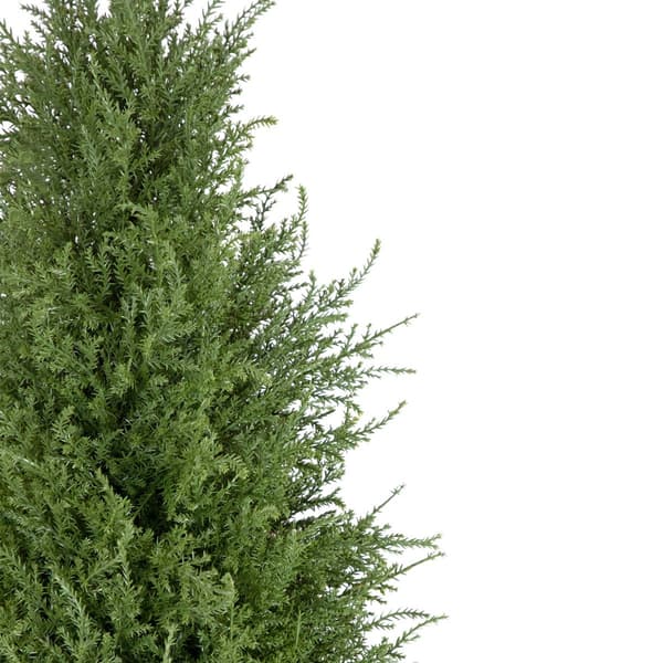 Northlight Seasonal 5ft. Artificial Cedar Pine Tree