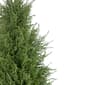 Northlight Seasonal 5ft. Artificial Cedar Pine Tree - image 4
