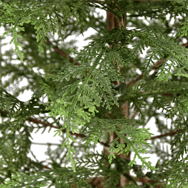 Puleo International 9ft. Pre-Lit Cypress Christmas Tree