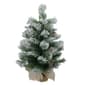 Northlight Seasonal 24in. Non-Lit Pine Artificial Christmas Tree - image 1
