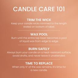 Yankee Candle® 14.25oz. Tangerine Vanilla Pillar Candle