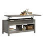 Sauder Cannery Bridge Lift Top Coffee Table - Mystic Oak - image 4