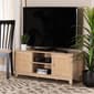 Baxton Studio Elsbeth Light Brown Finished Wood 2-Door TV Stand - image 2