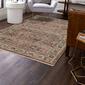 Mohawk Home Hertford Vintage Large Area Rug - image 3