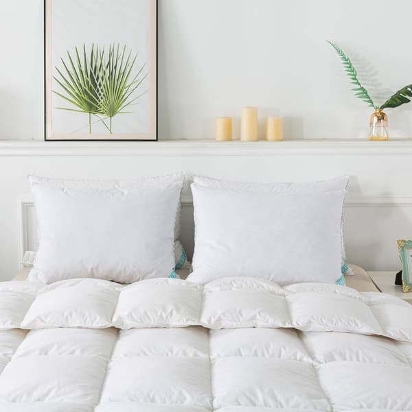 Waverly Antimicrobial Down Blend Pillow