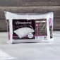 Beautyrest(R) Fresh Sleep Memory Foam Cluster Pillow - image 1
