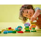LEGO&#174; DUPLO Creative Garden & Flowers - image 6