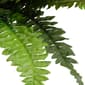 National Tree 20in. Fern Plant - image 4