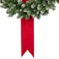 Northlight Seasonal Pre-Lit Flocked Wreaths on Ribbon - Set of 3 - image 2