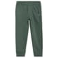 Boys &#40;4-7&#41; Champion&#174; Hoodie & Tapered Joggers Set - Dark Forest - image 5