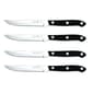 J. A. Henckels Prime Steak Set - image 1