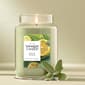 Yankee Candle&#40;R&#41; 22oz. Sage & Citrus Jar Candle - image 1