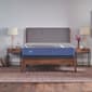 Sealy Plush 12in. Medium Foam Bed in Box Mattress - image 1