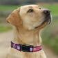 NFL New York Giants Dog Collar - image 4