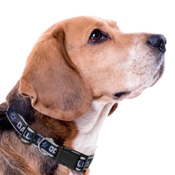 NFL Dallas Cowboys Dog Collar