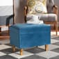 Baxton Studio Elias Sky Blue Velvet Fabric & Wood Storage Ottoman - image 8