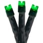Northlight Seasonal 20ct. Black Wire Green LED Christmas Lights - image 1