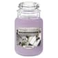 Yankee Candle(R) Evening Lavender White Birch 19oz. Jar Candle - image 1