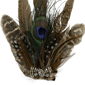 Northlight 6in. Peacock Feather Christmas Clip-On Ornament - image 6