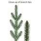 Puleo International 4.5ft. Pre-Lit Hillside Christmas Tree - image 6