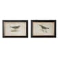 9th & Pike&#174; Pipit and Warbler Bird Wall Art - Set of 2 - image 9